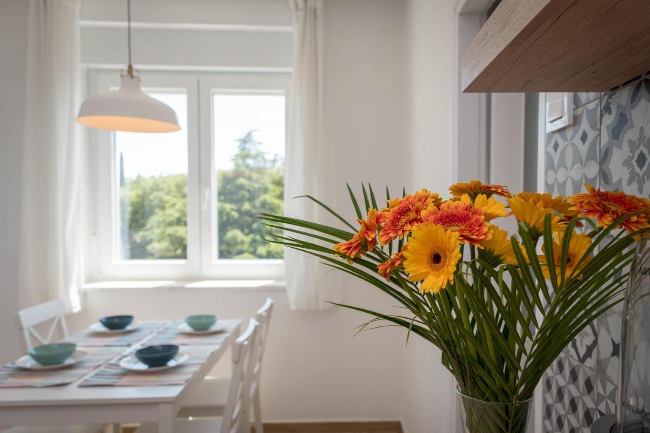 Nona Mileva Apartment Póla Kültér fotó