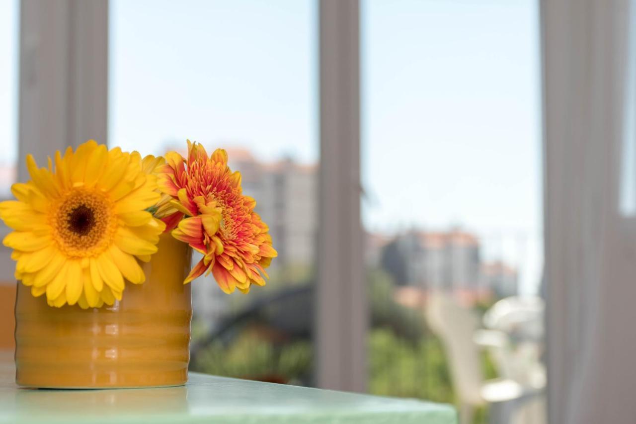 Nona Mileva Apartment Póla Kültér fotó